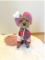 ネオヘアー 天満橋(Neo hair)&nbsp;愛犬のトイプー7歳★無類の犬好きです♪犬トークしましょー！