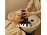 【福本限定】カット+カラー+ALOEB Headspa疲れた頭皮と心を緩める30分