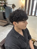 ウォルク(WOLK)&nbsp;波巻きスパイラル×スパイラル