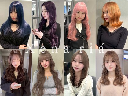 ジーナリア(Xena ria)の写真