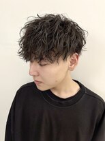 テラ(TERRA)&nbsp;波巻き ツイストスパイラル メンズマッシュ