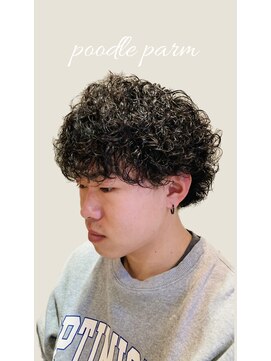 シロ(shiro) プードルパーマ