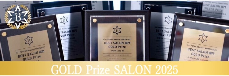 ケアリー 大日(Carelly)のサロンヘッダー