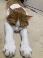 バトー バイ トリコ 船橋北口店(BATEAU by tricot) 猫を飼っています＊