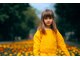 ボリューム(VOLUME)の写真