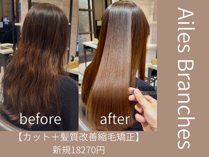 エル ブランシェ(Ailes Branches)の写真