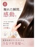 カット+髪質改善トリートメント¥11000→¥7700