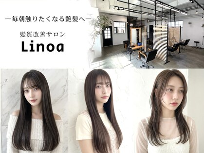 リノア(Linoa)の写真