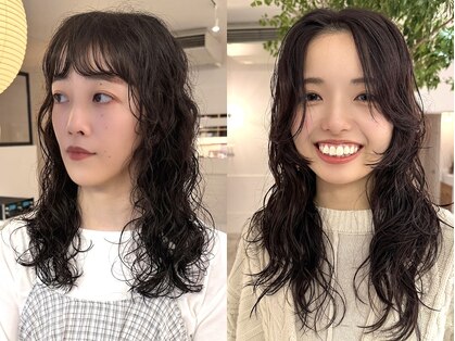 ノイ(noi)の写真