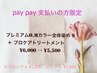 pay pay でお支払いの方限定価格 ☆ ￥6000 → ￥5700（全体染めSサイズ）