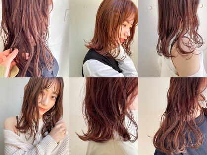 シロ(SiLO)の写真
