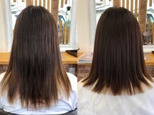 ノアーズアーク(Noah's Ark)