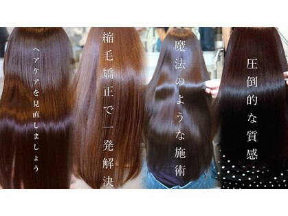セーハ(CEJA)の写真