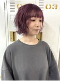 ピンクラベンダー