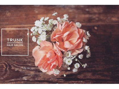 トランク(TRUNK)の写真