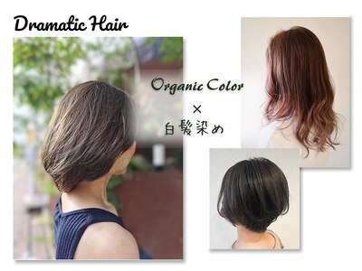 ドラマチックヘア 野鳥の森店(DRAMATIC HAIR)