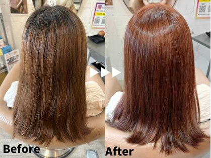 シーヘアーの写真