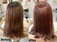 シーヘアーの写真