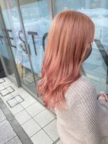 ノース(THE NORTH) 【ＴＨＥ　ＮＯＲＴＨ】ハイトーンカラー