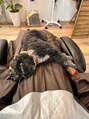ファム(fam.) お客様の上で寝たりします