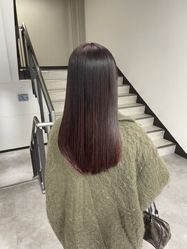 暖色カラー/レッドブラウン/艶カラー