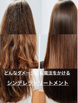 バイエイト(X８)&nbsp;ダメージに魔法をかけるシンデレラトリートメント