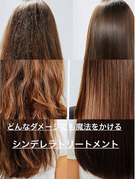 バイエイト(X8) ダメージに魔法をかけるシンデレラトリートメント