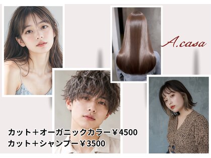 アカサ(A.casa)の写真