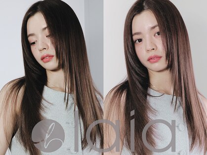 ライア 下北沢(laia)の写真
