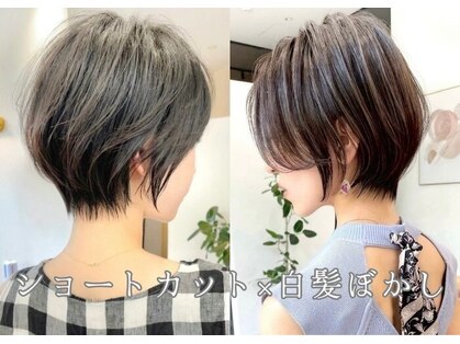 ビューレイギンザ(VIEW LEI GINZA)の写真