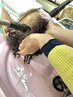 【頭皮診断付き】骨格補正カット&弱酸性ベルジュバンスエステ　¥8,019～