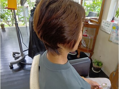 カットハウスマイケル(CUT HOUSE MICHAEL)の写真