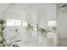 メンズサロン ルーツ 巣鴨(メンズサロン roots)の雰囲気（自然を感じられる店内）