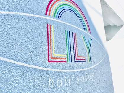 リリー(LILY)の写真