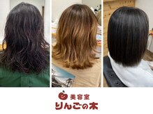 りんごの木