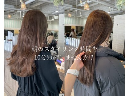 ルチア パリ(Luccica PARIS)の写真