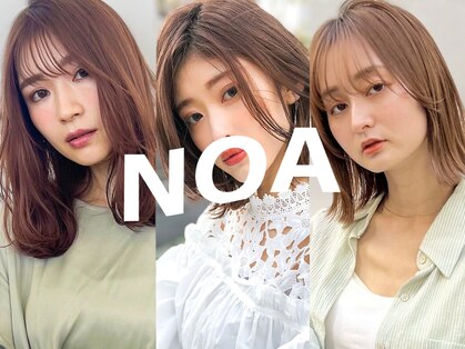 ノア(NOA)の写真