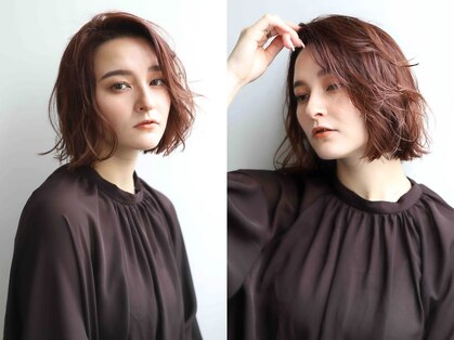 クーシ(kuusi)の写真