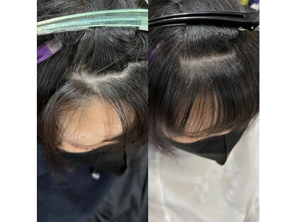 スリジエ(Cerisier)の写真