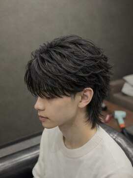 ノイル(Noil) ∞フェザー