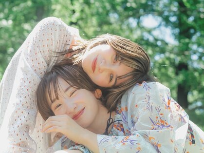 コットン(cotton)の写真