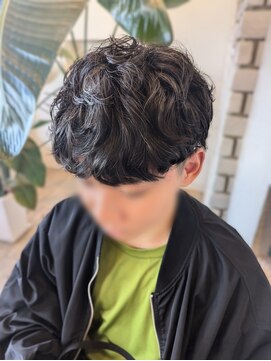 スニップ(SNIP) スペインカール