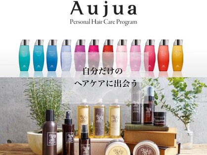 バイエイト(X８)の写真