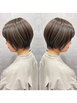 ステラ(stella) ショートココアブラウン【和田常経】