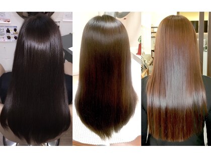 シーヘアーの写真