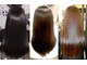 シーヘアーの写真