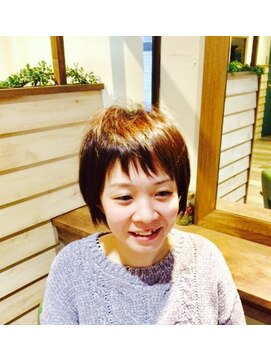 マトリカリア(Matricaria) ショート