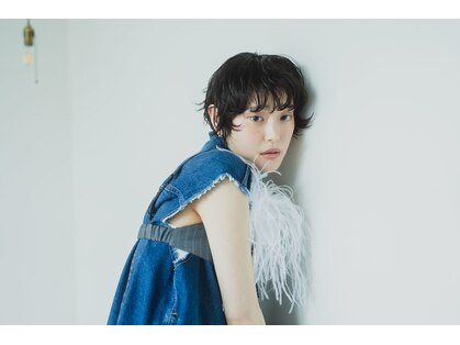モンティ レヴィの写真