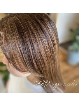 シード(SEED) ハイライトカラー