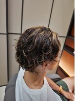 ラシンバン オム(LashinVan HOMME) ツイスパ メッシュ